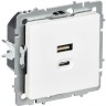 Розетка IEK BRITE BR-U22-045-K91